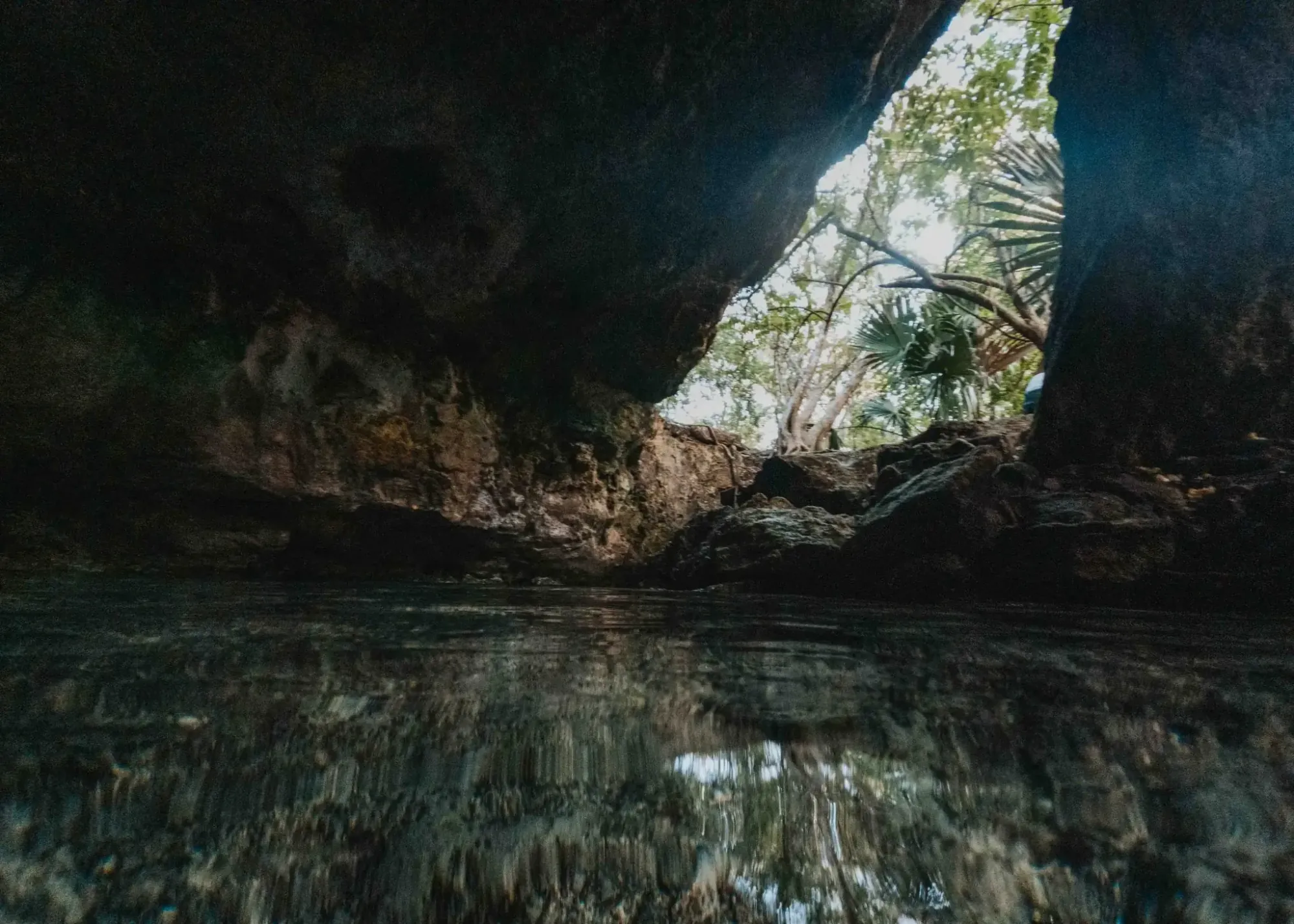 Limestone cenote cave with clear turquoise water and an opening onto green jungle